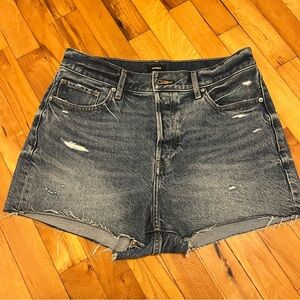 Express denim shorts